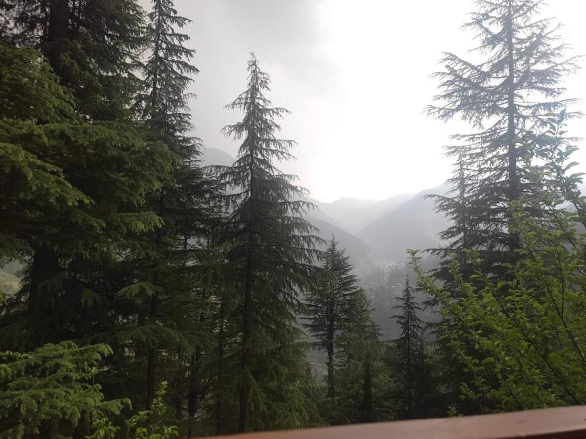 Freebird Nest Jibhi Hotel Exterior foto