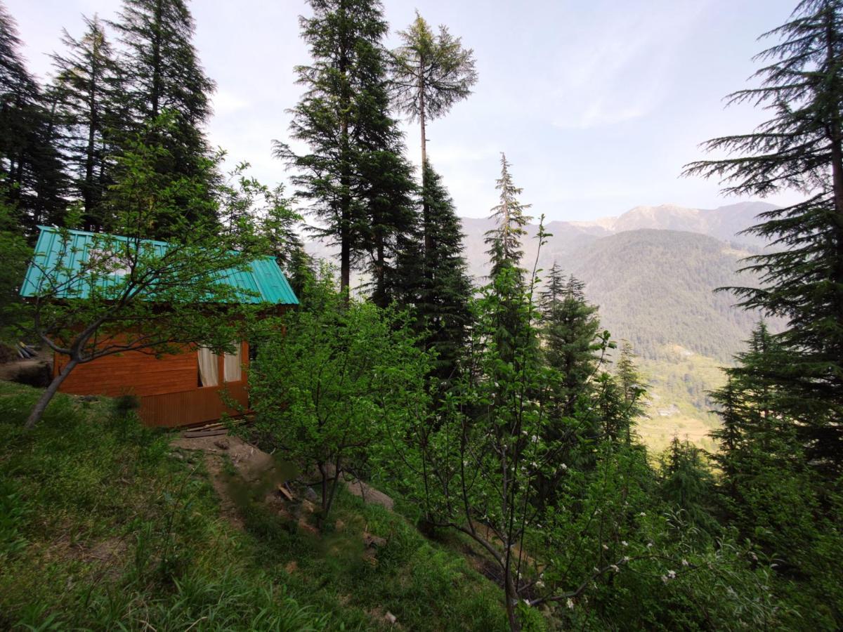 Freebird Nest Jibhi Hotel Exterior foto